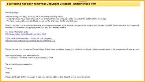 my ebay seller items are not visible